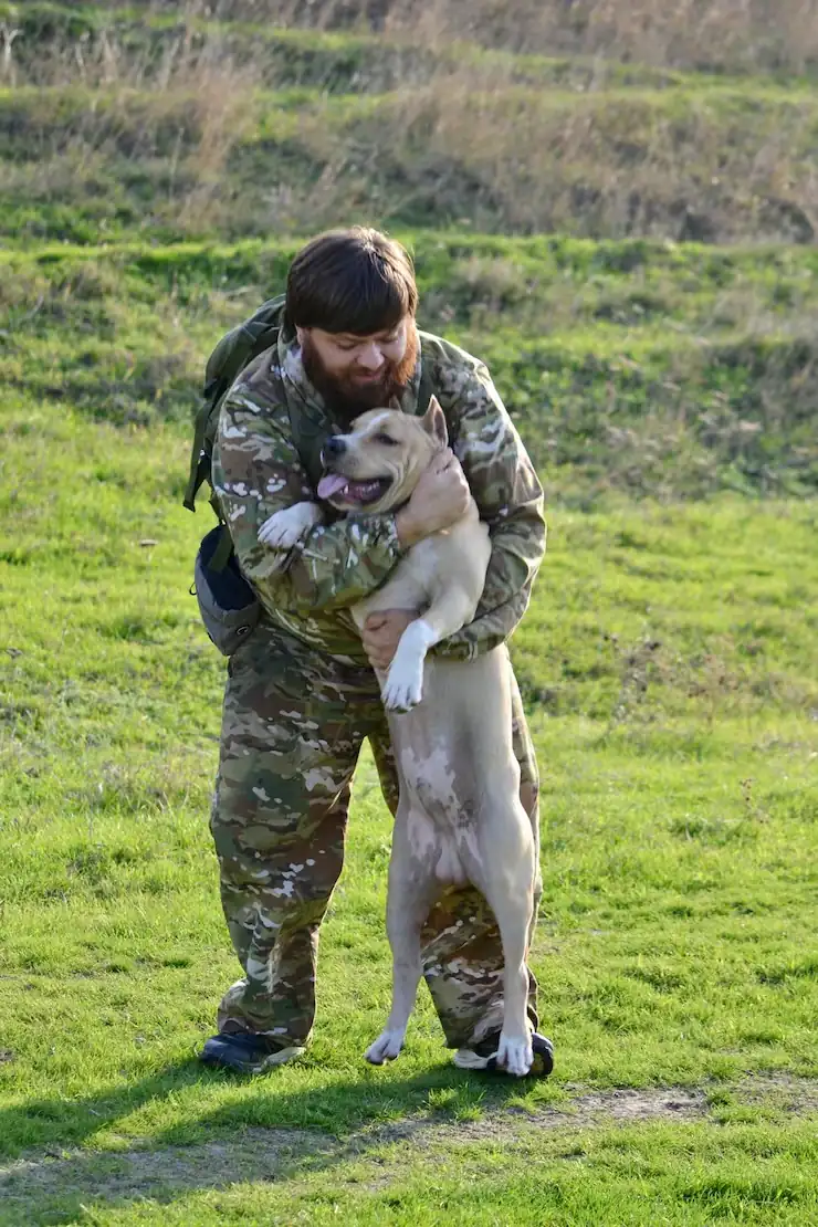 UK Family Pet Transport for Multi-Pet Military Households​